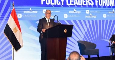 بدر عبد العاطى: نتنياهو المسؤول عن تجدد العدوان على غزة