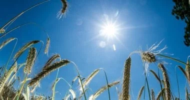 الصيف يدوم 92 يوماً و39 ساعة وفق الحسابات الفلكية مع موعد بدء الخريف