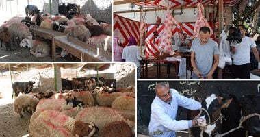 غرامات تصل إلى 10 آلاف جنيه لذبح الأضاحى بالشوارع في مصر