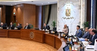 مجلس الوزراء يوافق على برنامج حوافز لإنتاج السيارات الحديثة