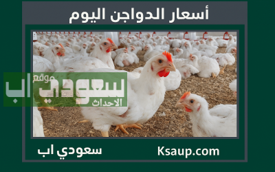 أسعار الدواجن اليوم