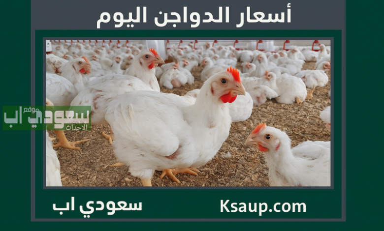 أسعار الدواجن اليوم