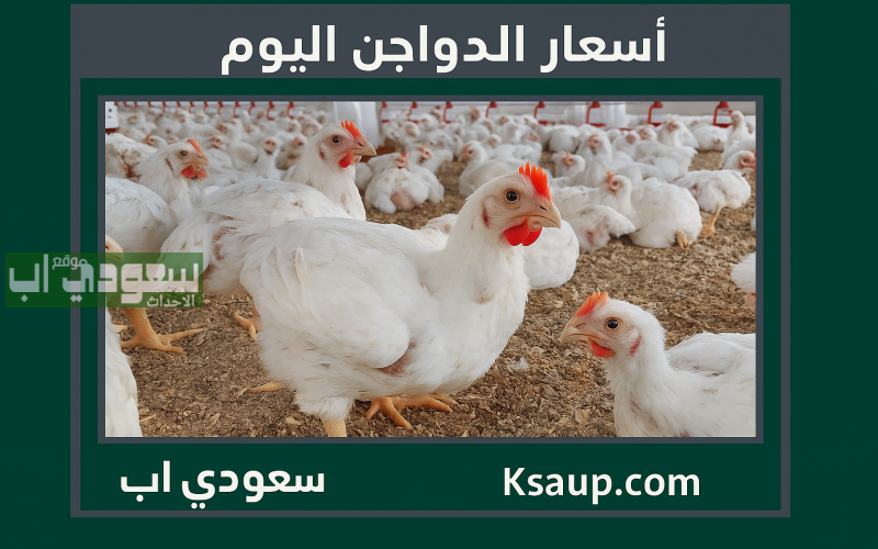 أسعار الدواجن اليوم