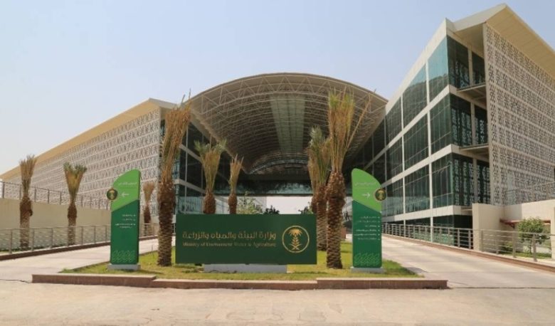 أكثر من 2.2 مليون رأس من الإبل في المملكة تعكس البعد التاريخي للأمن الغذائي والاقتصاد الوطني