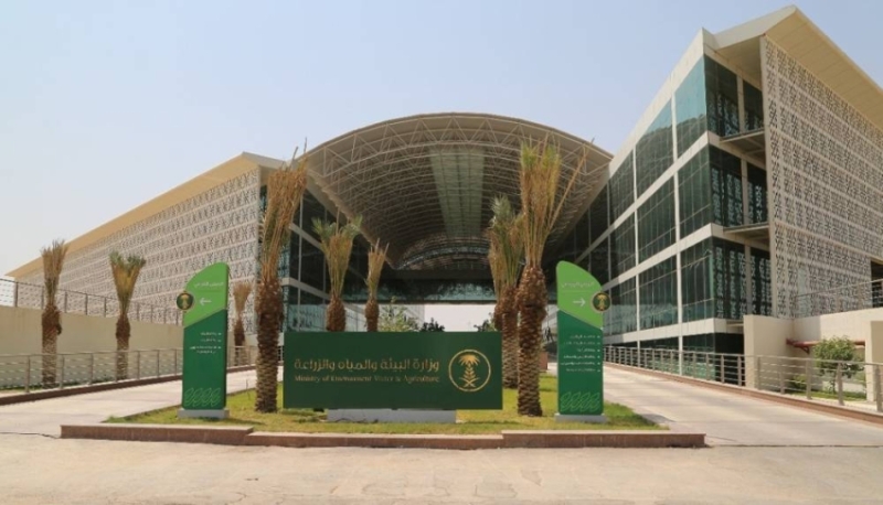 أكثر من 2.2 مليون رأس من الإبل في المملكة تعكس البعد التاريخي للأمن الغذائي والاقتصاد الوطني
