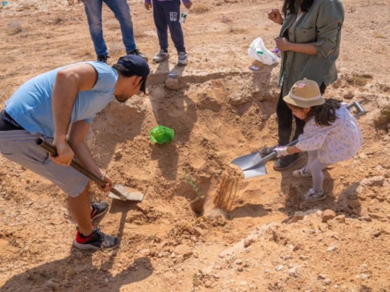 أكثر من 40 مبادرة لزراعة 31 مليون شجرة في منطقة الشرقية بالمملكة