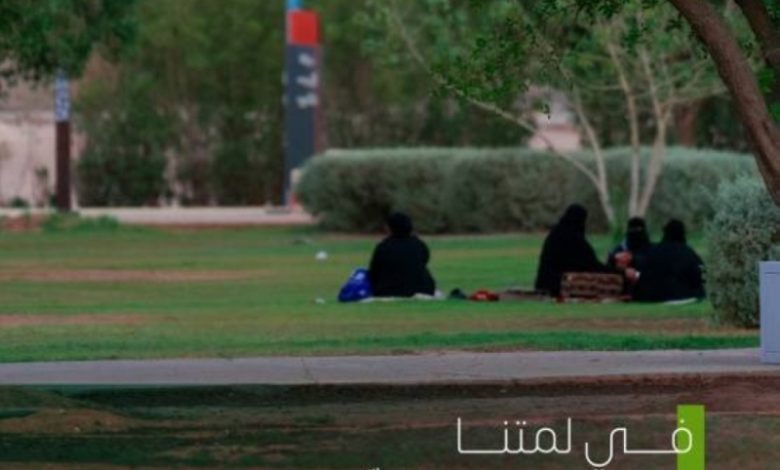 أمانة حفر الباطن تزرع أكثر من 552,000 متر مربع من الحدائق والمسطحات الخضراء