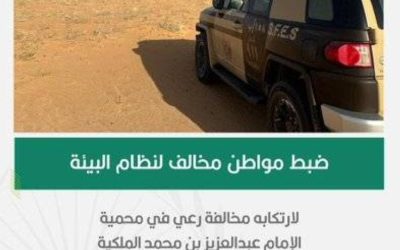 الأمن البيئي يلاحق مواطناً لمخالفته قواعد الرعي في محمية الإمام عبدالعزيز