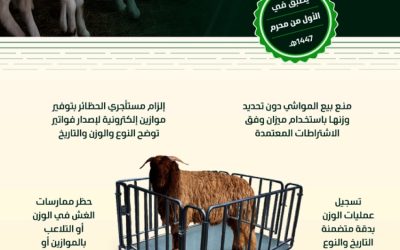 البيئة تعلن عن 6 ضوابط جديدة لبيع المواشي الحية بالوزن بدءاً من غرة محرم