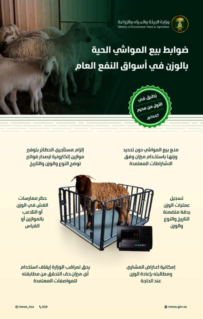 البيئة تعلن عن 6 ضوابط جديدة لبيع المواشي الحية بالوزن بدءاً من غرة محرم
