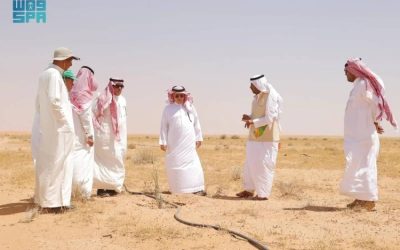 الرئيس التنفيذي لشركة "الغطاء النباتي" يزور روضة السبلة ويستعرض المشاريع الجديدة