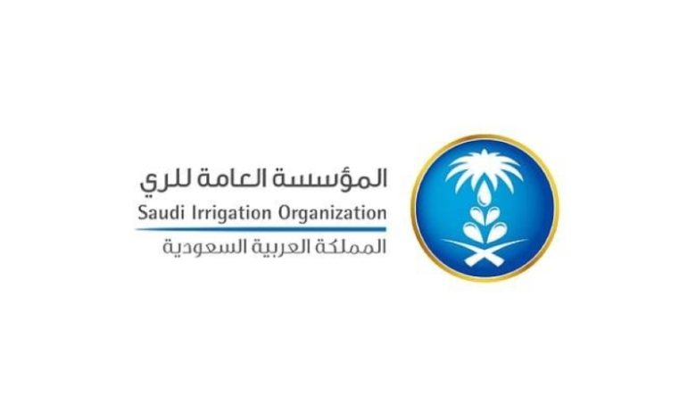القطاع الغربي ينفذ خطة تشغيل السدود لعام 2025 بتصريف نحو 724 ألف متر مكعب من المياه
