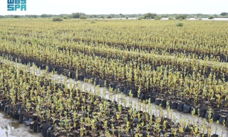 المركز الوطني لتنمية الغطاء النباتي يعزز تأهيل الأراضي ويحسن منظومة الحماية البيئية