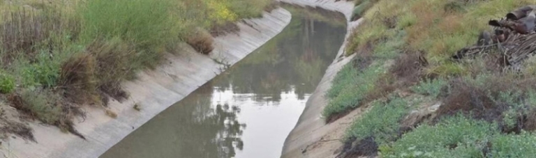 تحصيل تراخيص لتجميع مياه الأمطار واستخدامها في الزراعة بطرق فعالة ومستدامة