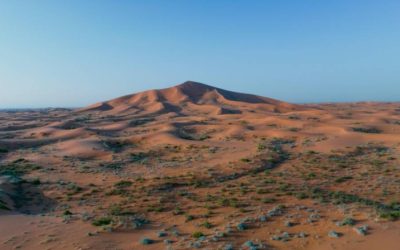 تطوير طرق جديدة للدخول والتنزه في مناطق الصمان والدهناء للزوار والمقيمين