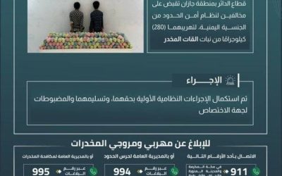 حرس الحدود في جازان يعتقل شخصين لتهريبهما 280 كيلوجرامًا من نبات القات المخدر