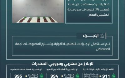 حرس الحدود في جازان ينجح في إحباط تهريب 17 كيلوجرامًا من الحشيش المخدر