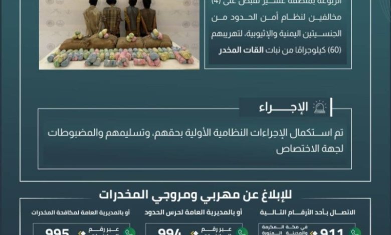 حرس الحدود في عسير يضبط أربعة مهربين بحوزتهم 60 كيلوجرامًا من القات المخدر