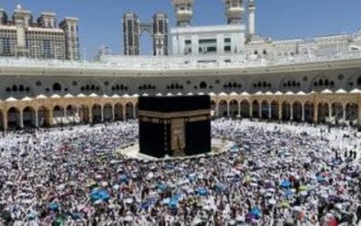 خدمات شاملة للحفاظ على سجاد المسجد النبوي لضمان راحة المصلين الكرام
