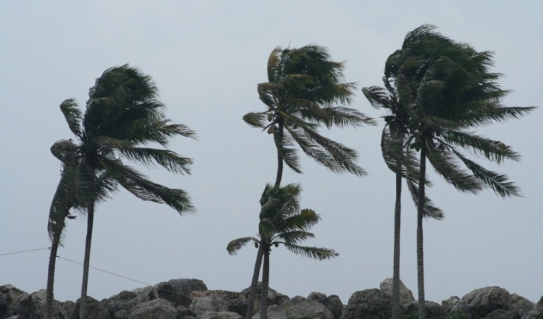 رياح شديدة تضرب حائل بسرعة 49 كلم في الساعة وتحذر السكان