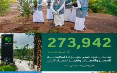 زراعة 273 ألف شجرة بالمدينة المنورة لتعزيز جهود مكافحة التصحّر وزيادة الغطاء النباتي