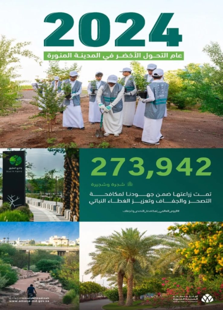 زراعة 273 ألف شجرة بالمدينة المنورة لتعزيز جهود مكافحة التصحّر وزيادة الغطاء النباتي