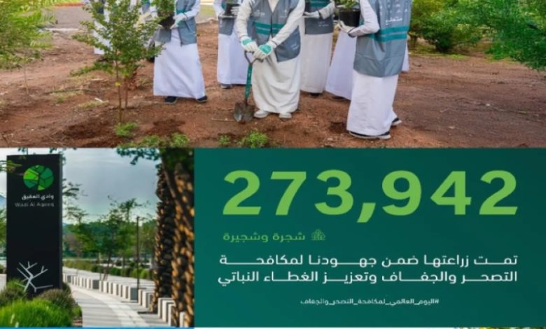 زراعة 273 ألف شجرة بالمدينة المنورة لتعزيز جهود مكافحة التصحّر وزيادة الغطاء النباتي