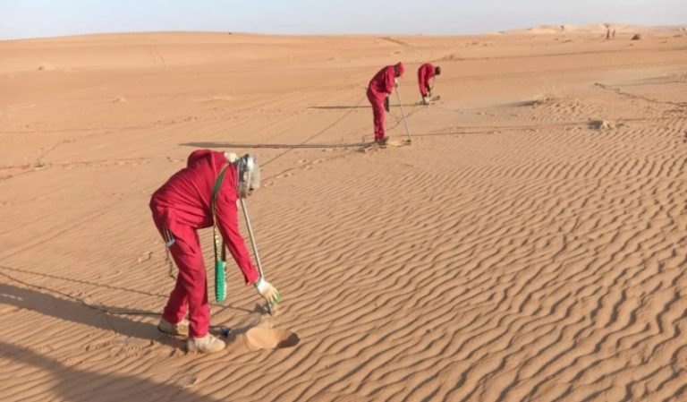 زراعة 50 مليون بذور خلال عمليات المسح الجيوفيزيائي في منطقة الربع الخالي