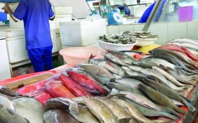 زيادة الطلب تؤدي إلى ارتفاع أسعار الأسماك بنسبة 20% في السوق المحلي