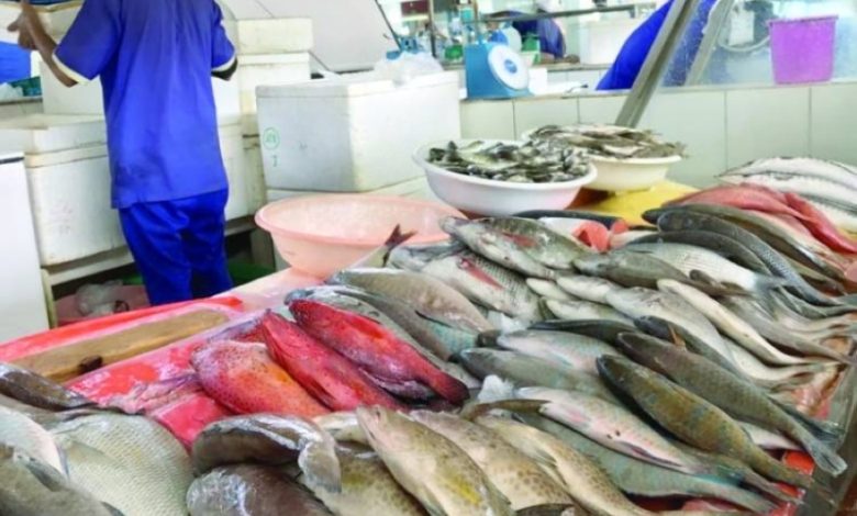 زيادة الطلب تؤدي إلى ارتفاع أسعار الأسماك بنسبة 20% في السوق المحلي