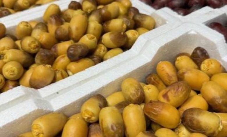 سوق تمور المدينة المنورة يستقبل دفعة جديدة من منتجات الرطب هذا الموسم