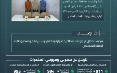 ضبط حرس الحدود بعسير ثلاثة مخالفين لتهريب 75 كيلوجرامًا من نبات القات المخدر