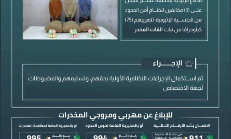 ضبط حرس الحدود بعسير ثلاثة مخالفين لتهريب 75 كيلوجرامًا من نبات القات المخدر