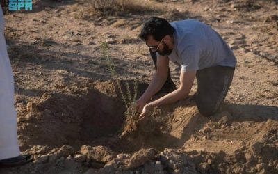 مكة المكرمة تعزز مستقبلها الأخضر بزراعة 7.3 مليون شجرة جديدة لتنمية مستدامة