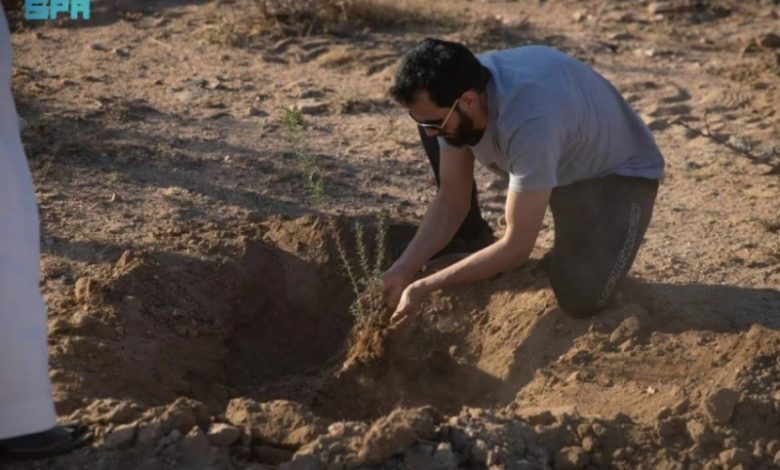 مكة المكرمة تعزز مستقبلها الأخضر بزراعة 7.3 مليون شجرة جديدة لتنمية مستدامة