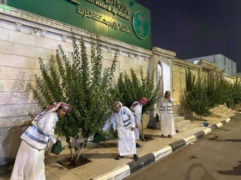 مكتب بيئة الخرمة يدعم جهود الاستدامة البيئية والممارسات الخضراء في المجتمع