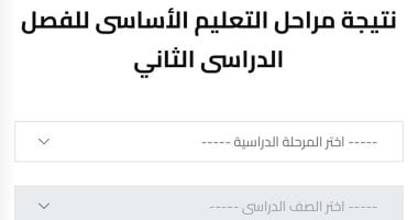 نتائج الطلاب في صفوف النقل الترم الثاني 2025 بالجيزة