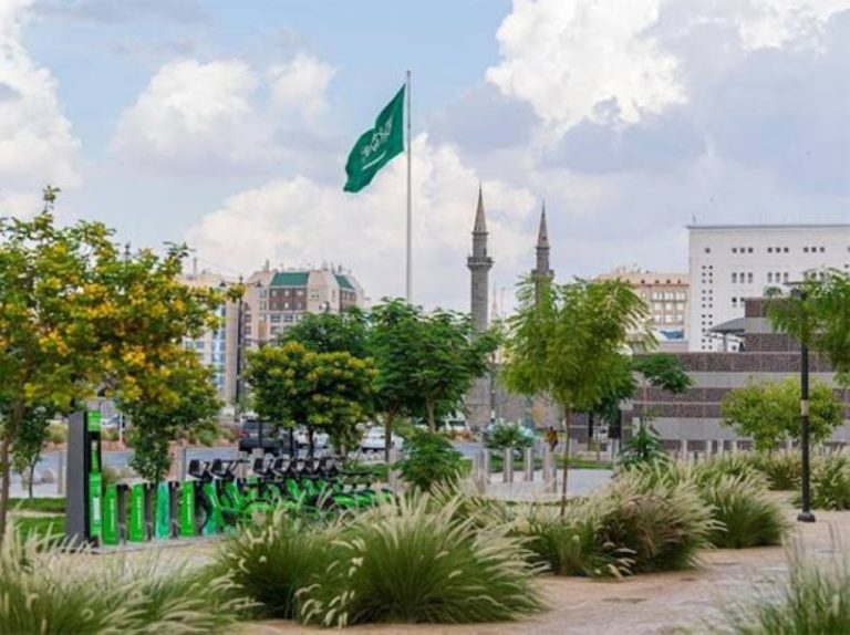 نحو 82% من السكان يعبرون عن رضاهم عن جودة الحياة في المدينة