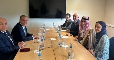 وزير الخارجية يناقش مع نظيره السعودي أوضاع قطاع غزة الحالية