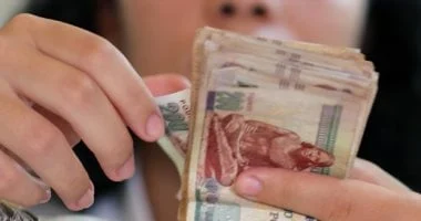 2300 مستفيد من تمويل 5 مليارات جنيه للمشروعات الصغيرة والمتوسطة