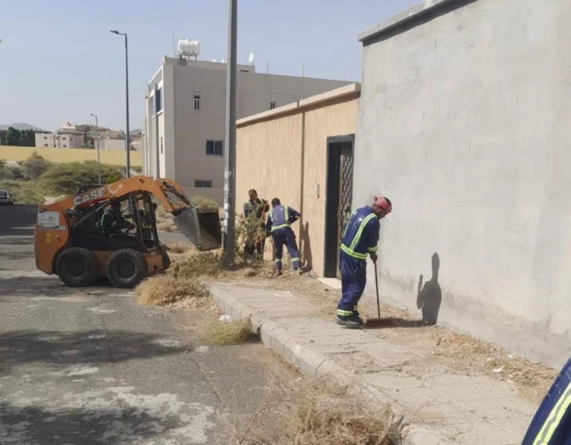 أمانة الطائف تطلق فرق نظافة جديدة في المواقع السياحية
الجهود تتواصل: أمانة الطائف تعزز فرق الصحة العامة في المناطق السياحية
فرق جديدة للنظافة والصحة العامة من أمانة الطائف بالشراكة مع المواقع السياحية
تعزيز جهود أمانة الطائف بفرق نظافة إضافية في المواقع السياحية
أمانة الطائف تنشر المزيد من فرق النظافة العامة في المعالم السياحية