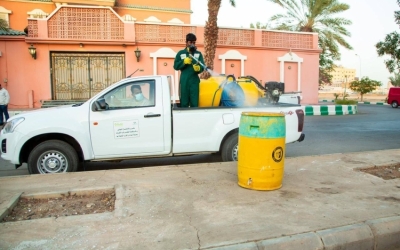 أمانة تبوك تصرف مليون لتر من المبيدات لمكافحة الحشرات خلال نصف عام