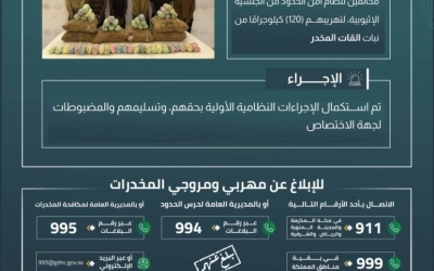 أمن عسير ينجح في القبض على (6) مهربين بحوزتهم (120) كيلوغرامًا من القات الممنوع