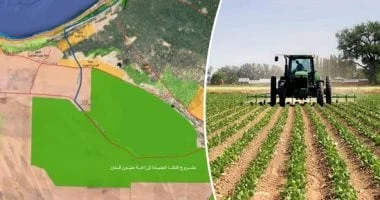 إطلاق تيار كهربائي جديد لدعم الدلتا الجديدة في أخبار الاقتصاد اليوم