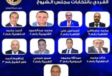 إعلان قائمة مرشحي «حماة الوطن» للمقاعد الفردية في انتخابات الشيوخ 2025 بعد غلق باب الترشح