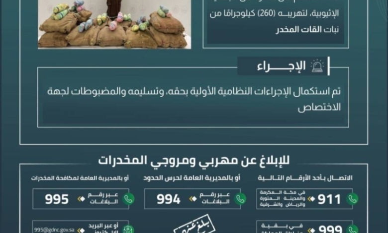 إلقاء القبض على مخالف بالحدود بجازان بتهمة تهريب (260) كيلوجرامًا من القات المخدر