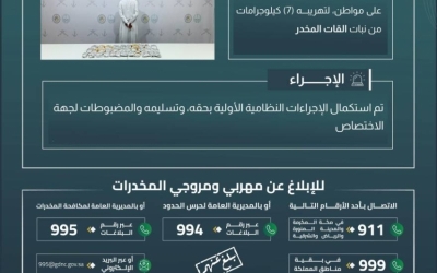 إلقاء القبض على مهرب قات بنجران بمسحوبة (7) كيلوجرامات