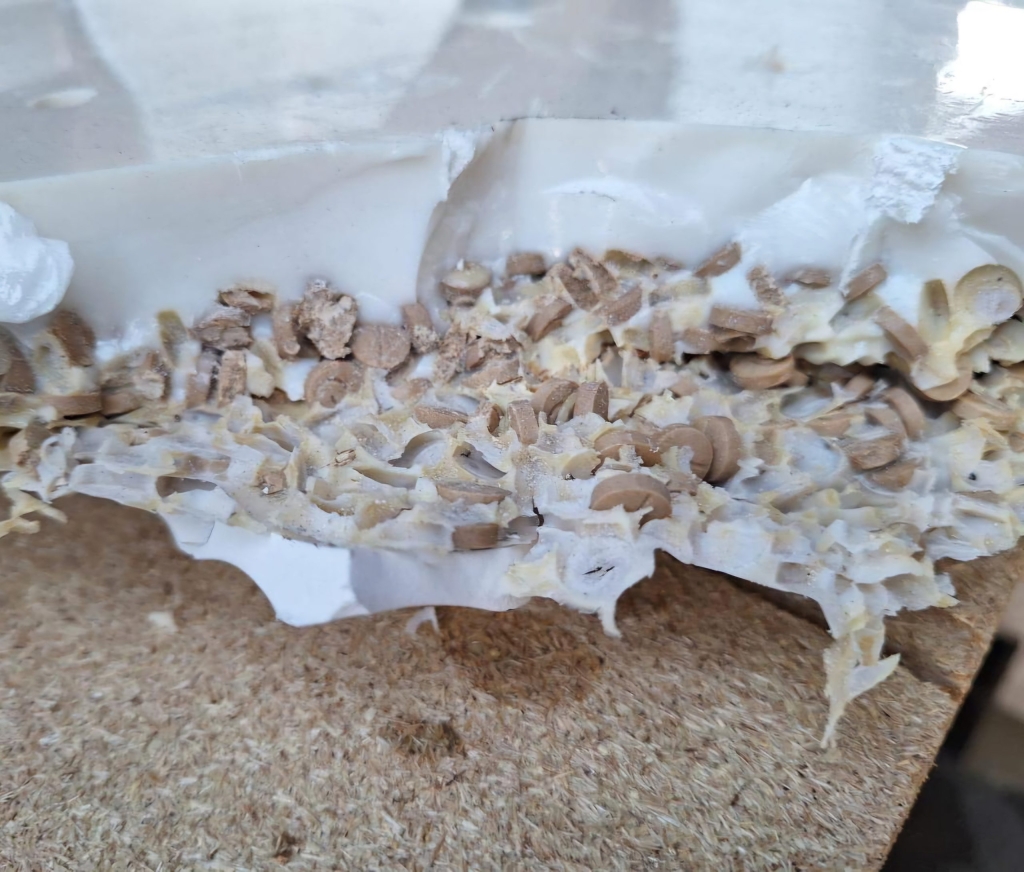 احباط تهريب 5 ملايين قرص امفيتامين الى لبنان بتنسيق امني سعودي لبناني