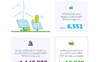 استفادة 1.1 مليون وحدة سكنية من الطاقة المتجددة