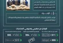 اعتقال 8 مخالفين لتهريب 220 كيلوجرامًا من القات بجازان